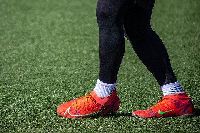 场的大门 场的大门