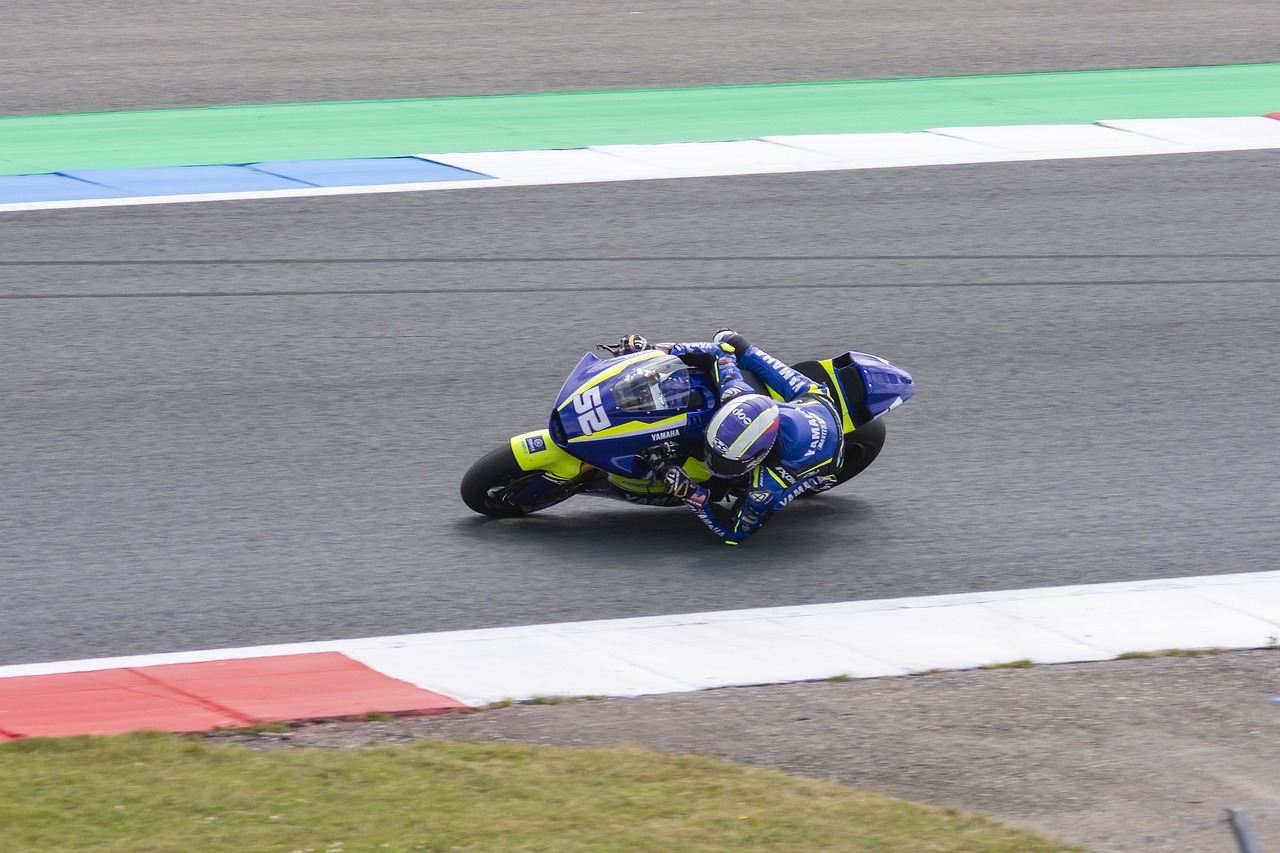 上海申花在 上海申花在