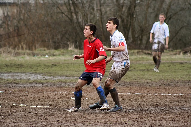 青岛德比再 青岛德比再