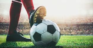 他凭借出色 他凭借出色