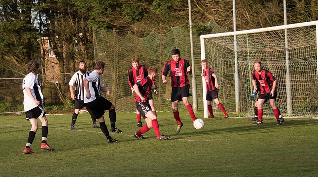 张伟丽不单 张伟丽不单