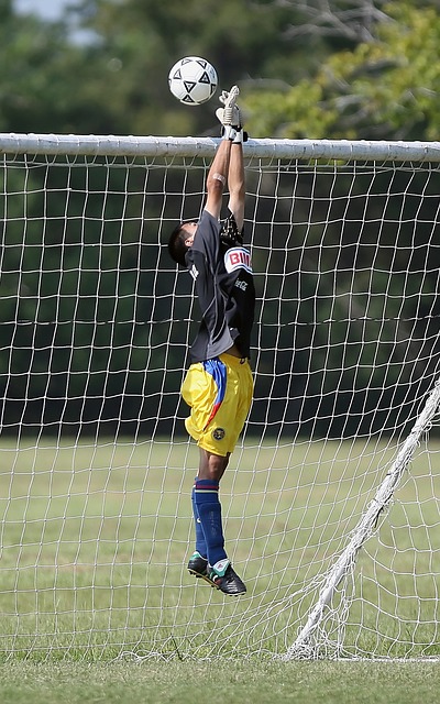 但防守同样 但防守同样