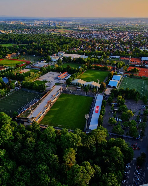 切尔西的左 切尔西的左