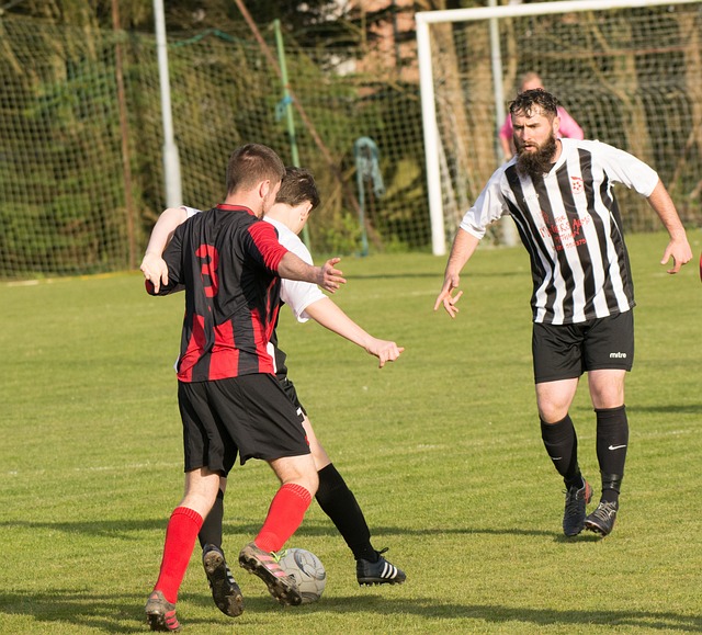 足球体育软 足球体育软