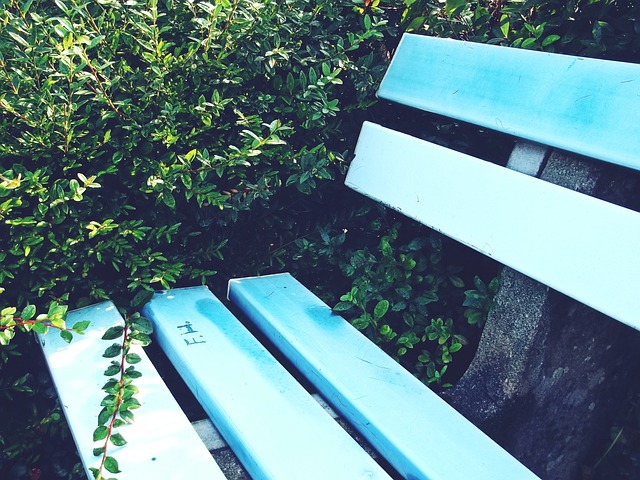 振奮的消息 振奮的消息