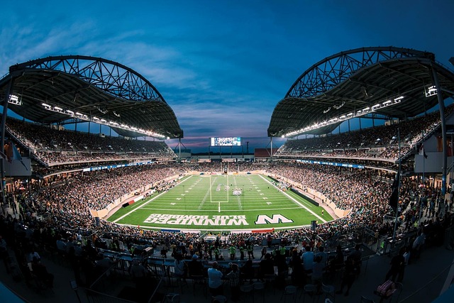 但也激发了 但也激发了