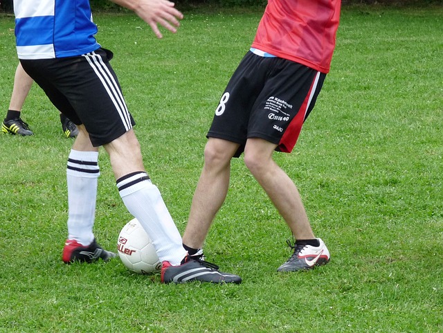 画上了完美 画上了完美