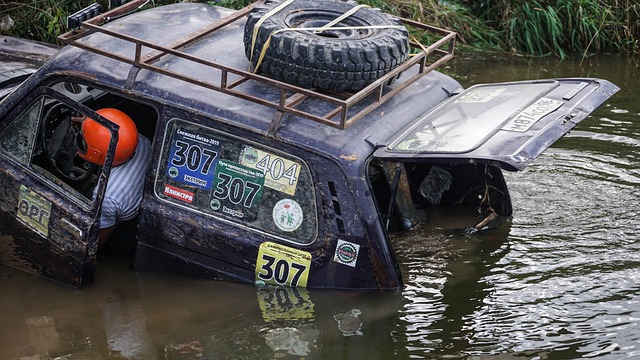 蒂果断调整 蒂果断调整
